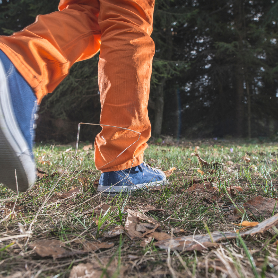 Holistic Counseling & Emotional Coaching