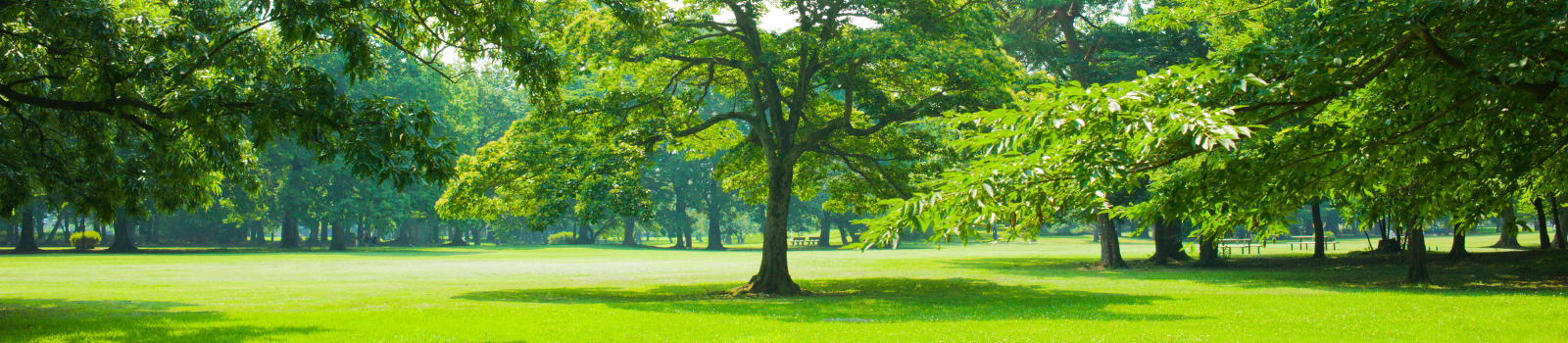 Emotional Goal 90-Day Course